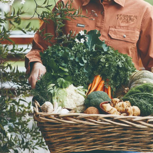 진정으로 ‘잘 먹는’ 생태계로 향하는 푸드 업사이클링